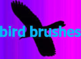 Bird_thumbnail