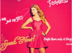 Taylor_brushes