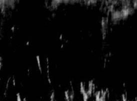 Scratches