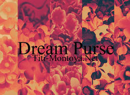 Dreampurse