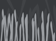 Allgrass-t
