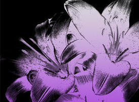 Flower_group_tmb