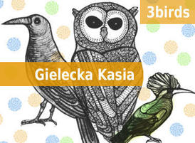 3birdskg