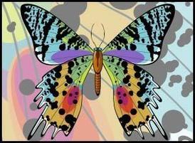Thumbnail_3_copy