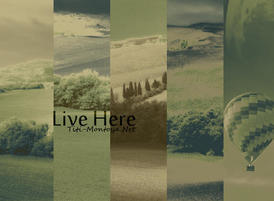 Live-here
