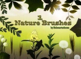 Nature1-brushes