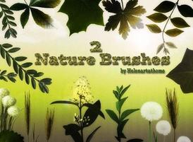 Nature2-brushes