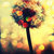 Dandelion_by_l0veshake