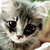 The_cat_with_boots___by_m0thyyku