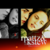 Poordeadturtle-twilightmovieos15-7