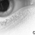Sem_t_tulo-5