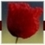New_image
