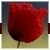 New_image