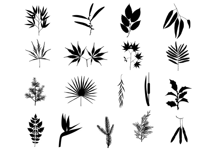 Beautiful Branches Brush Pack Beautiful Branches Brush Pack
