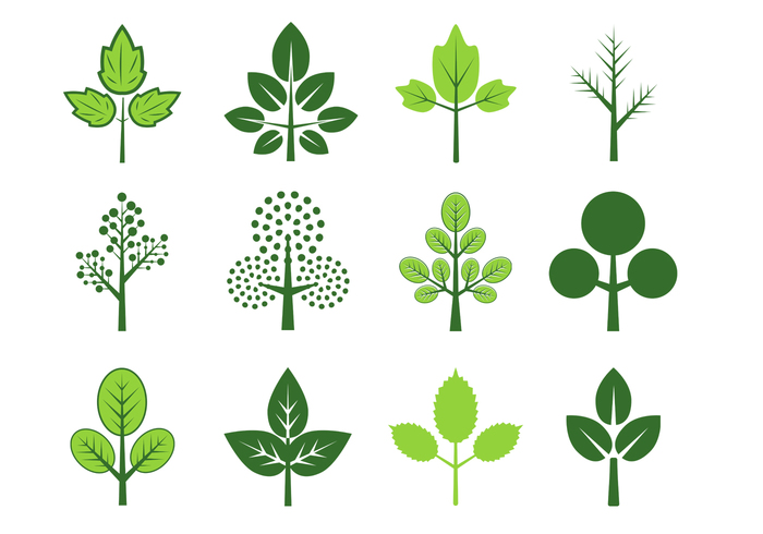 Leaves of Three Brush Pack Leaves of Three Brush Pack