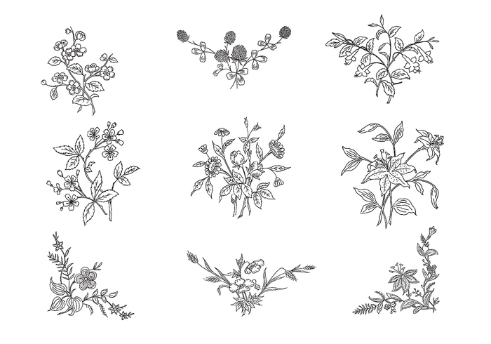 Hand Drawn Black & White Flower Brushes Pack Hand Drawn Black & White Flower Brushes Pack