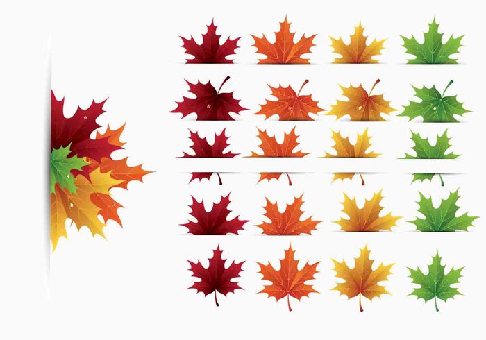 Maple Leaves Brush Pack Maple Leaves Brush Pack