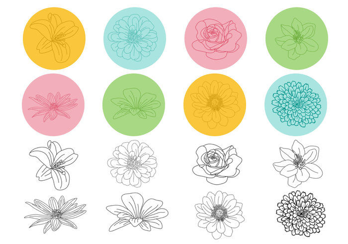 Outlined Floral Brush Pack Outlined Floral Brush Pack