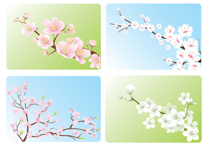 Cherry Blossom Wallpaper Pack Cherry Blossom Wallpaper Pack