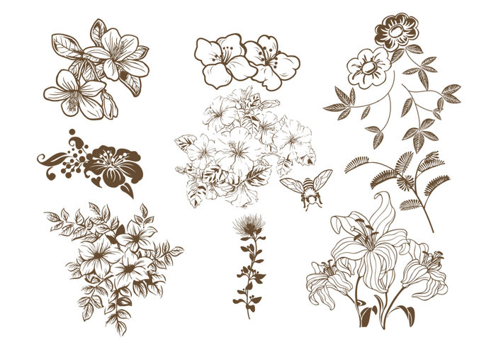 Hand Drawn Floral Brush Pack Hand Drawn Floral Brush Pack