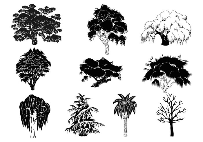 Tree Silhouette Brushes Pack Tree Silhouette Brushes Pack
