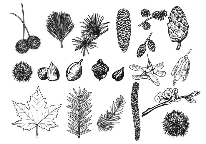 Things in the Forest Brush Pack Things in the Forest Brush Pack