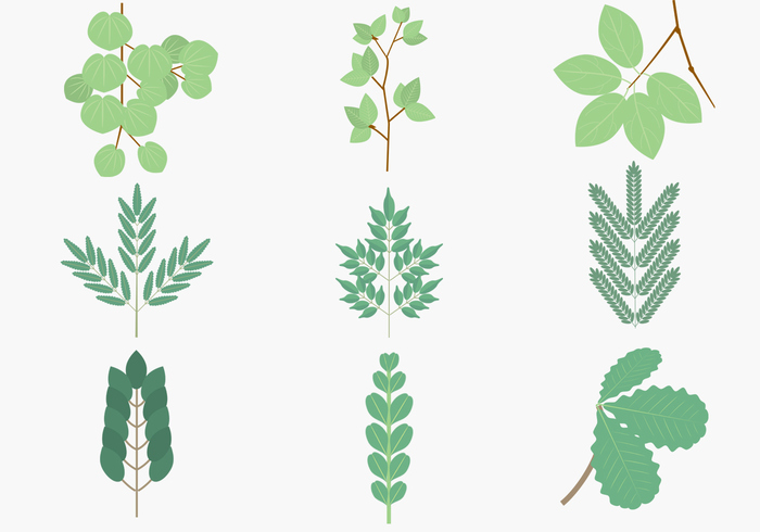 Green Leaves Branches Brushes Pack Green Leaves Branches Brushes Pack