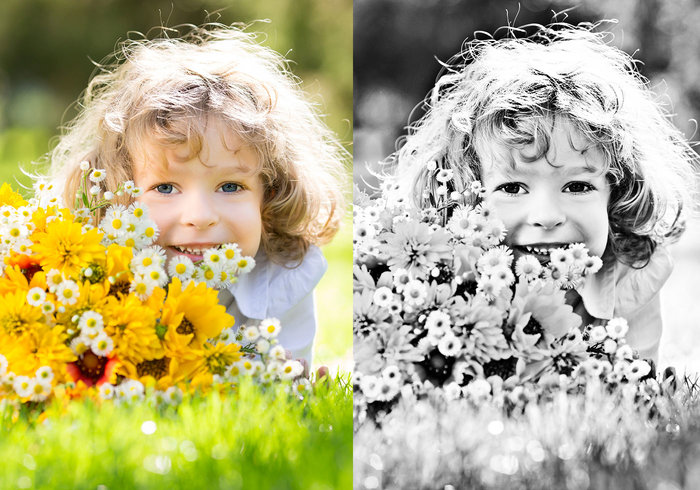 Black and White Photoshop Action and Pattern Pack Black and White Photoshop Action and Pattern Pack