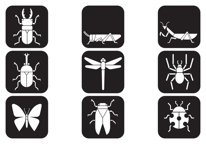 Insect Brush Icons Pack Insect Brush Icons Pack