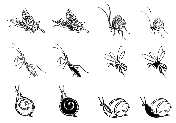 Hand Drawn Insect Brushes Pack Hand Drawn Insect Brushes Pack