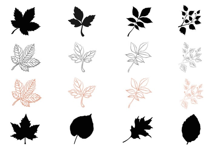 Silueta, otoño, hojas, cepillos, paquete Silueta, otoño, hojas, cepillos, paquete