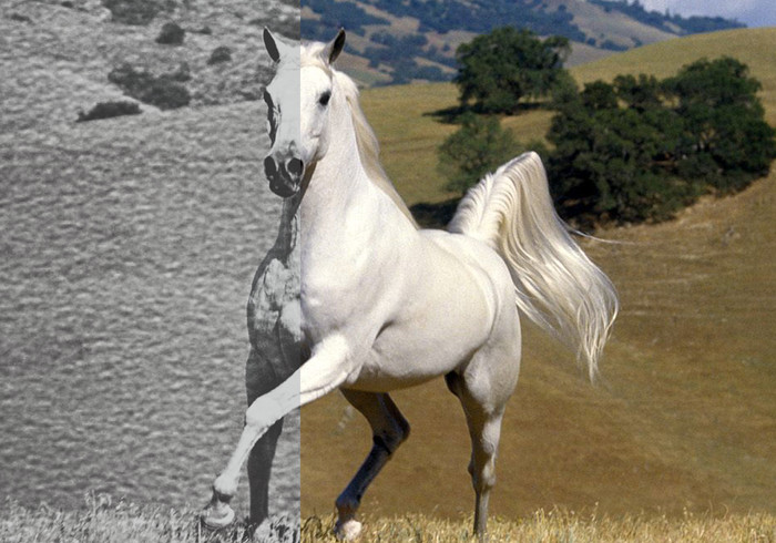 Pacote de ações do Old West Photoshop Pacote de ações do Old West Photoshop