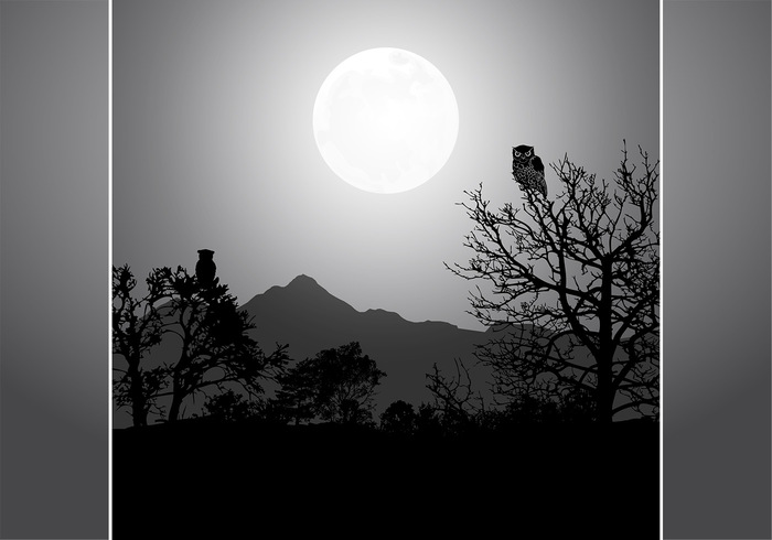 Owl By Full Moon PSD Background Owl By Full Moon PSD Background