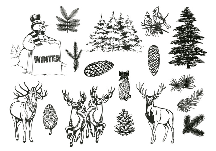 Natural Forest and Winter Brushes Pack Natural Forest and Winter Brushes Pack