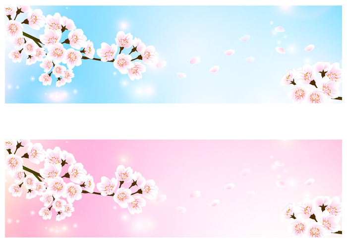 Cherry Blossom Banner Background Pack Cherry Blossom Banner Background Pack