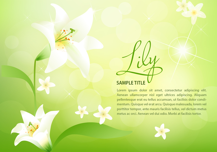 Spring Lily Background PSD Spring Lily Background PSD