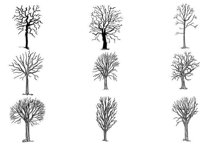 Hand Drawn Dead Tree Brushes Pack Hand Drawn Dead Tree Brushes Pack