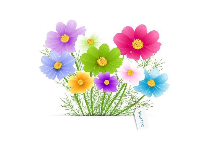 Flower Bouquet PSD Flower Bouquet PSD