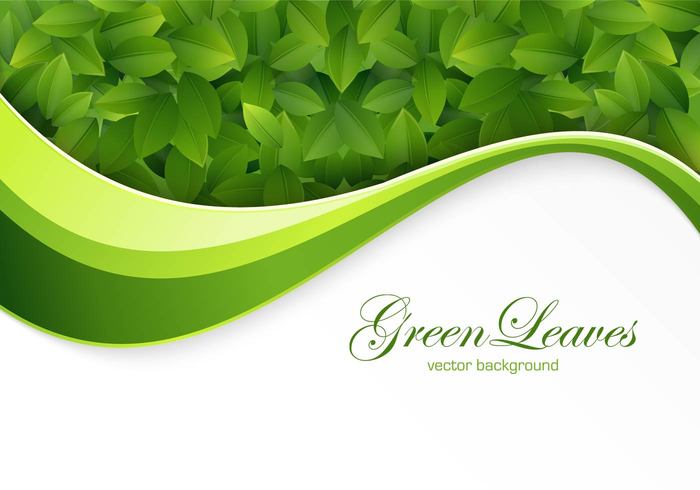 Green Leaves Background PSD Green Leaves Background PSD