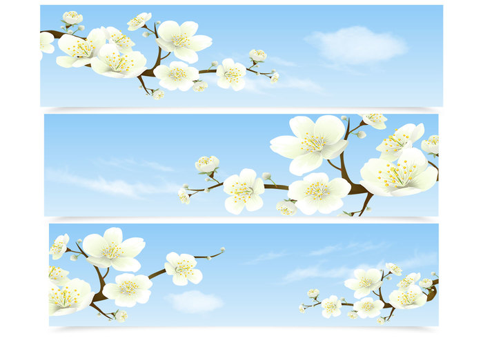 Cherry Blossom Banner PSD Set Cherry Blossom Banner PSD Set