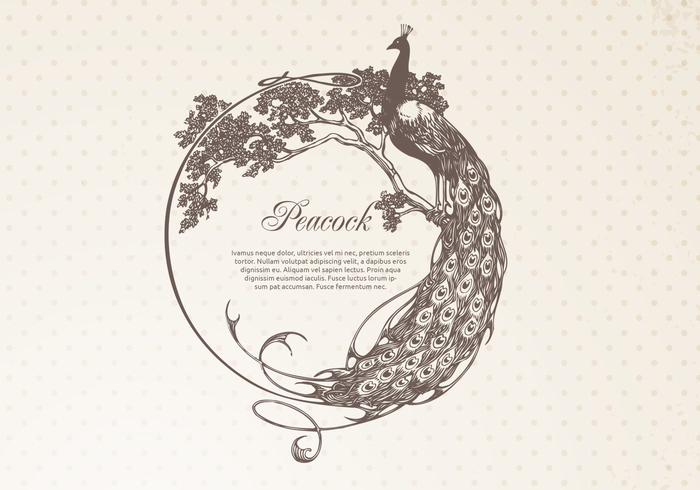 Hand Drawn Peacock Frame Banner PSD Hand Drawn Peacock Frame Banner PSD