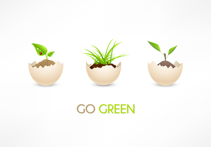 Eco Go Green Eggs PSD Eco Go Green Eggs PSD