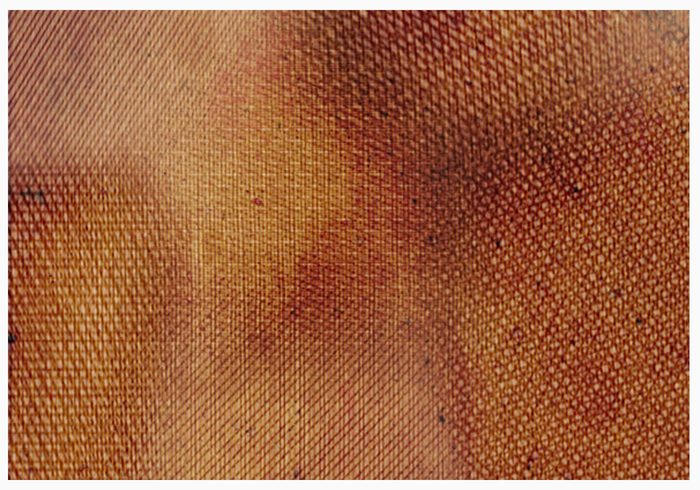 Fabric Texture Brushes Pack Fabric Texture Brushes Pack