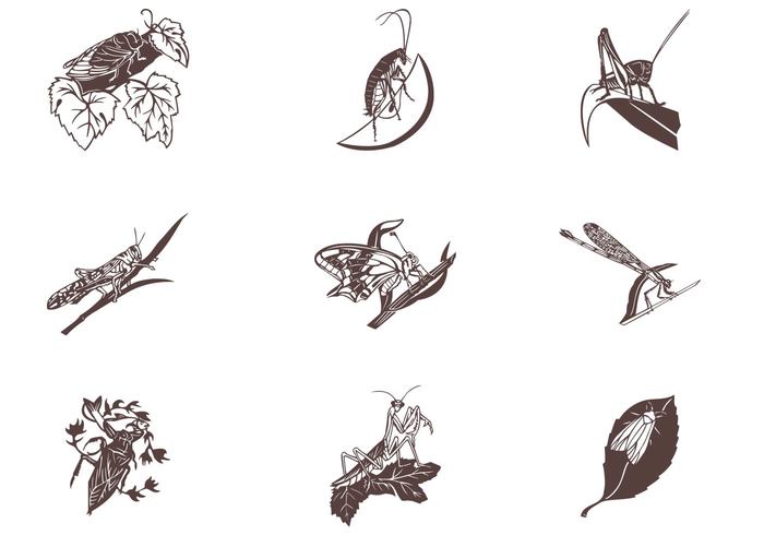 Insects on Leaves Brushes Insects on Leaves Brushes