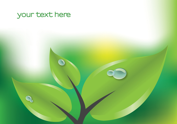 Green Leaf with Droplets Background PSD Green Leaf with Droplets Background PSD