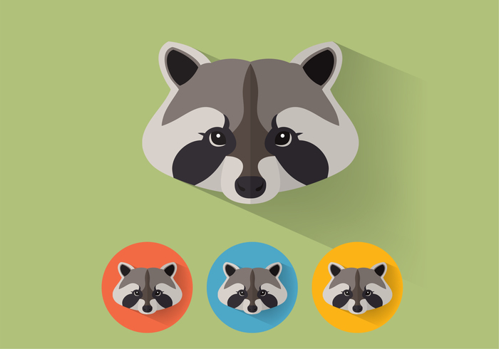 Raccoon PSD Portraits Raccoon PSD Portraits