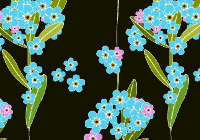 Forget-me-nots Forget-me-nots