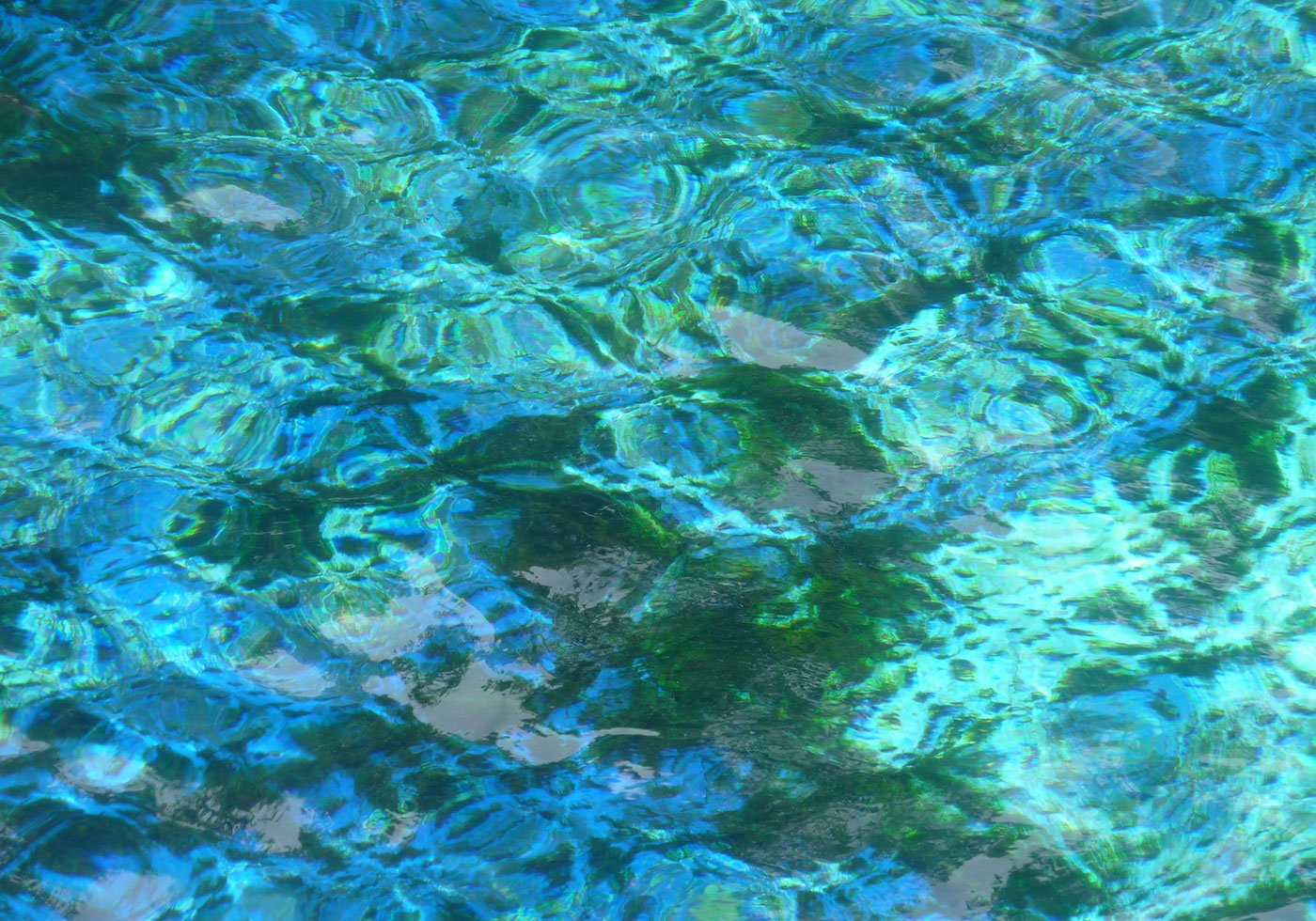 shiny blue waters Free Brushes at Brusheezy!