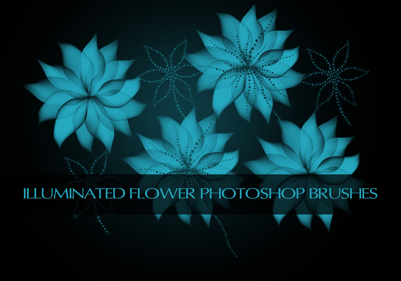 shinyflowerss HD shiny flowers wallpapers | Peakpx