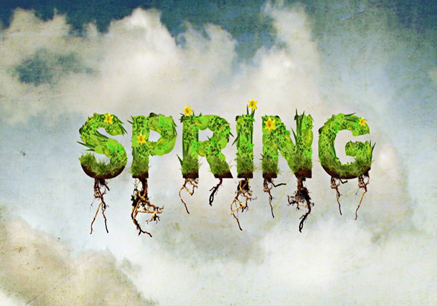 Roots Free Brushes (955 Free Downloads)